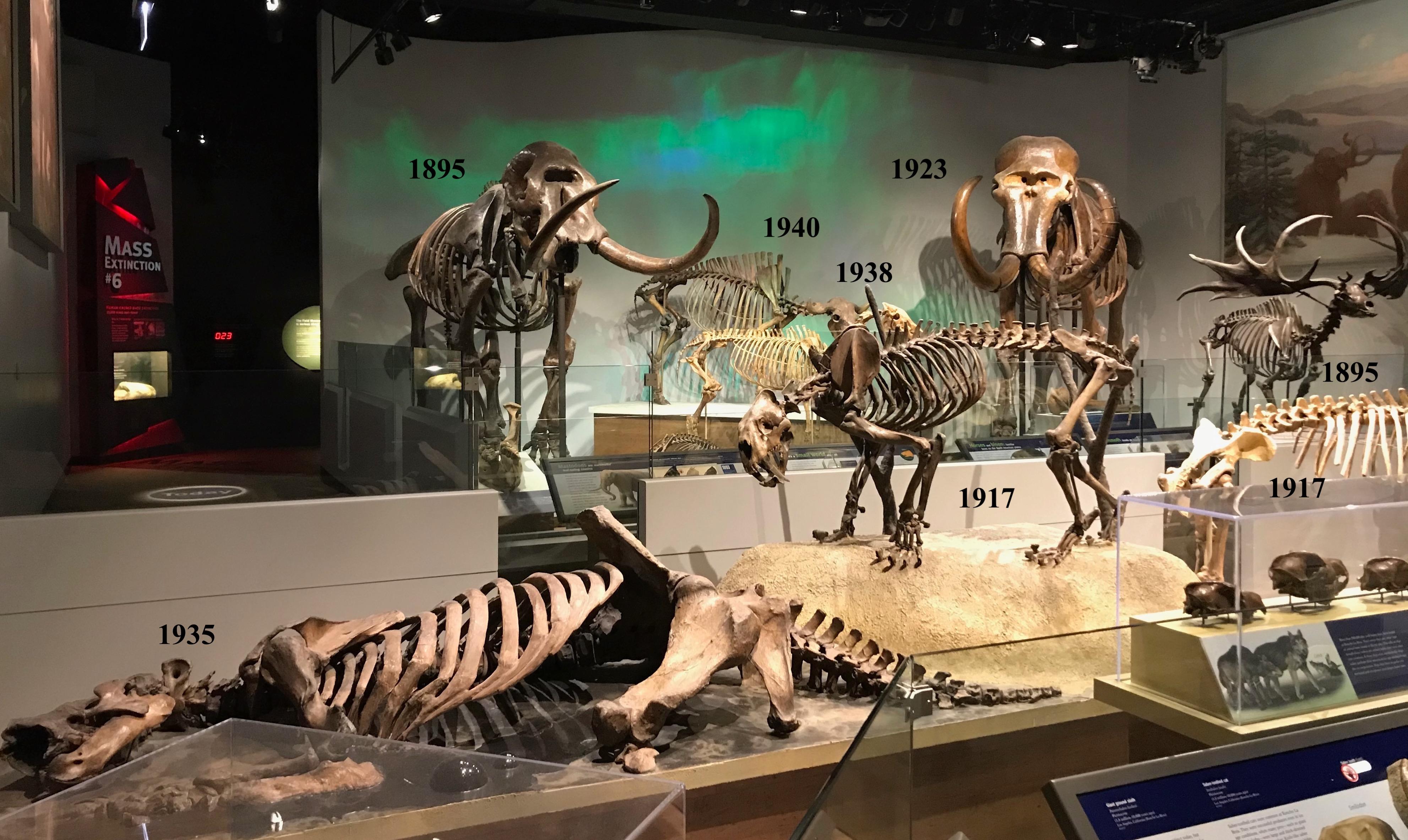 EXTINCT MONSTERS | Art, History, and Science of Museum Paleontology