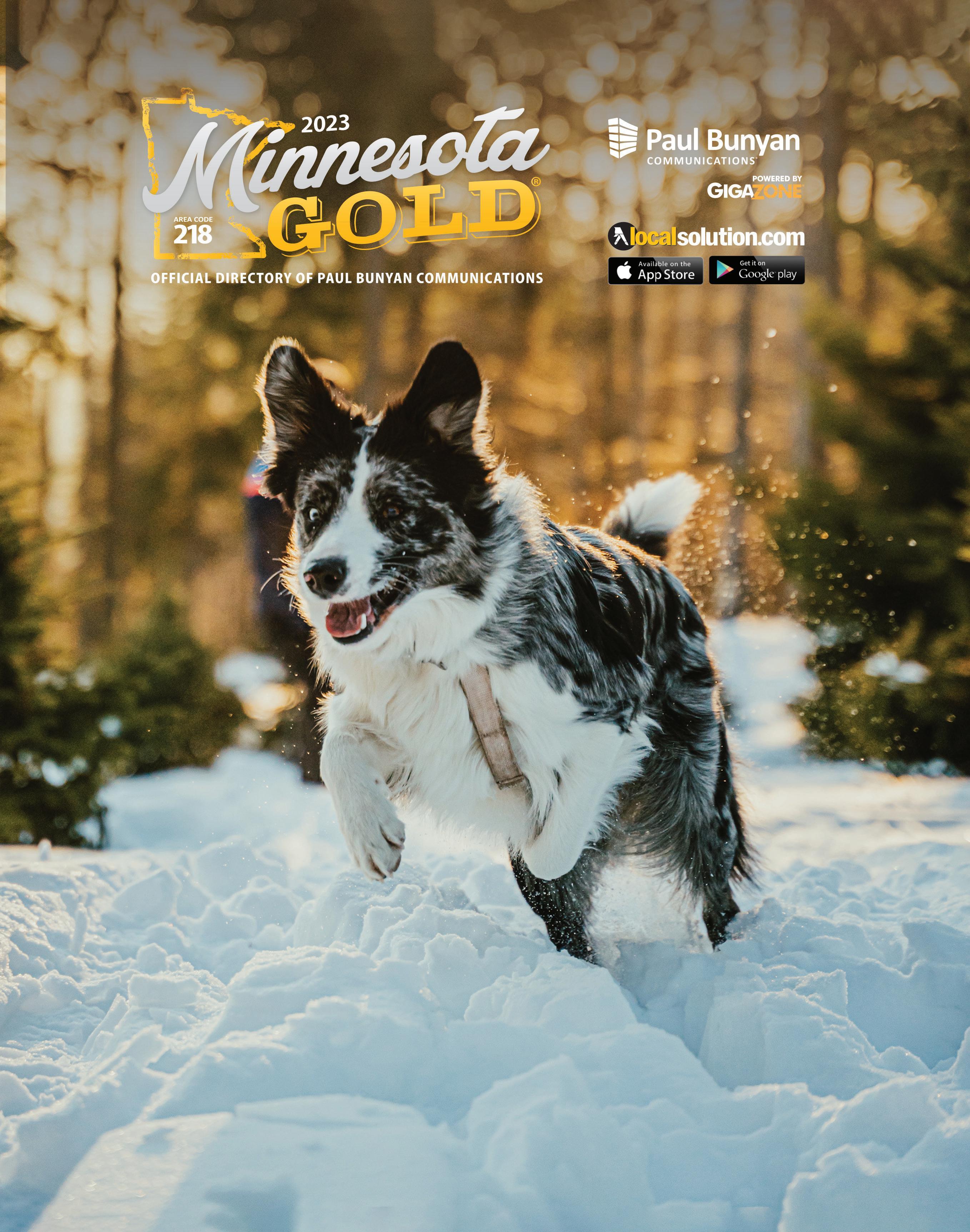MN Gold 2023 by PinnacleMarketingGroup - Issuu