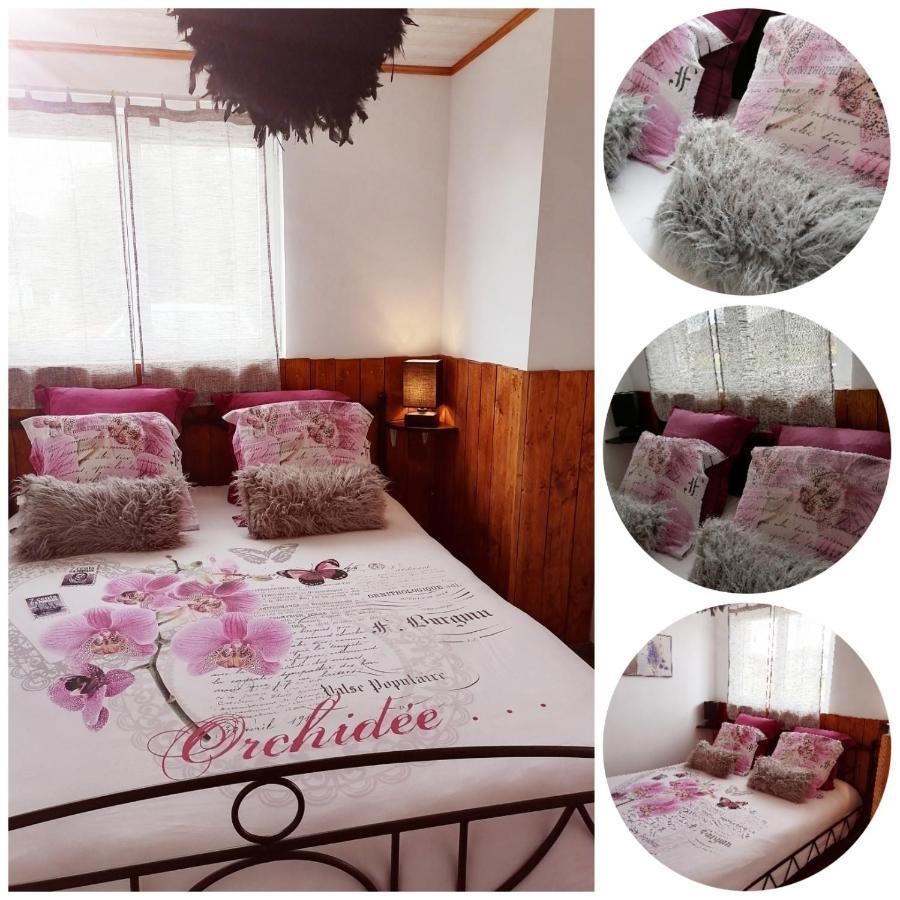 Appartement - Vue sur Jardin