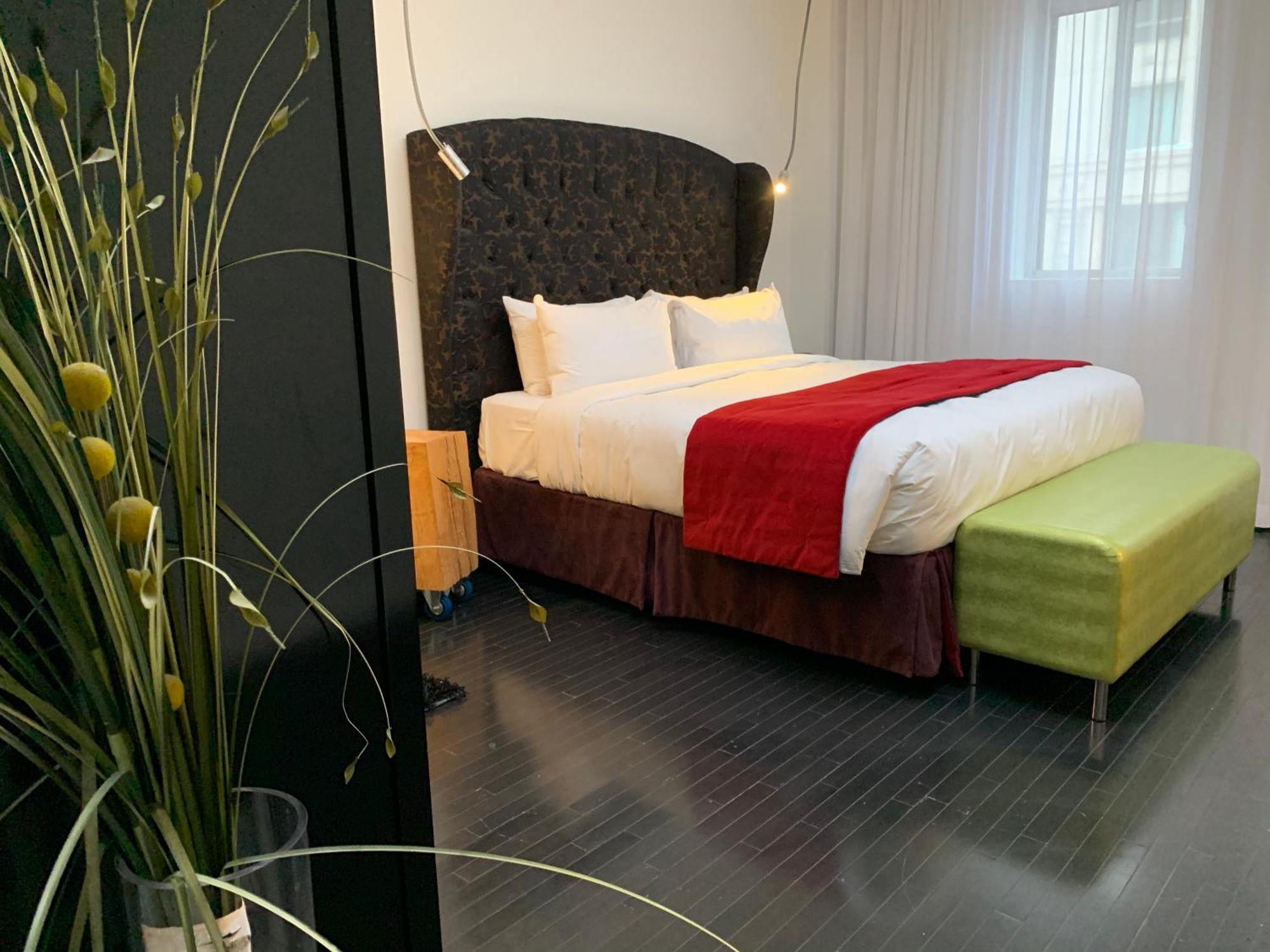 Junior King Suite,1212820282:JPEG