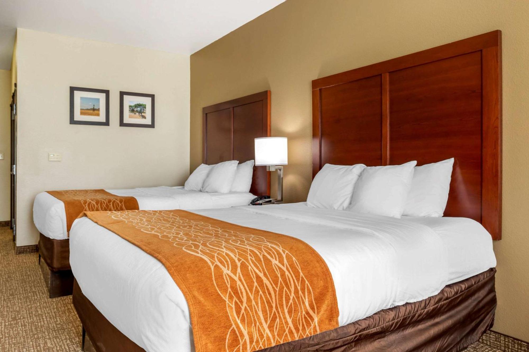 Queen Room with Two Queen Beds - Pet Friendly/Non-Smoking