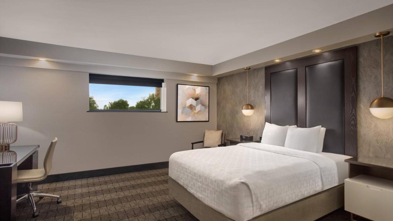 Guest room, 1 King, Corner room,1631577963:JPEG