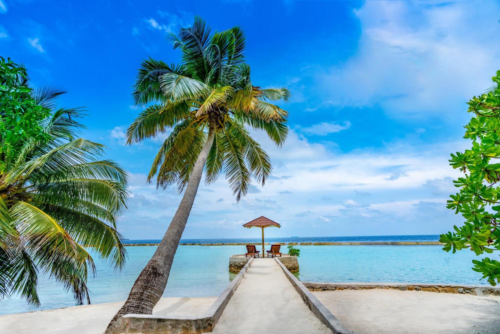 Superior Room Ocean View speedboat transfers 1 up to 2 guests stays valid to 31 Oct 2027 Spa & F&B