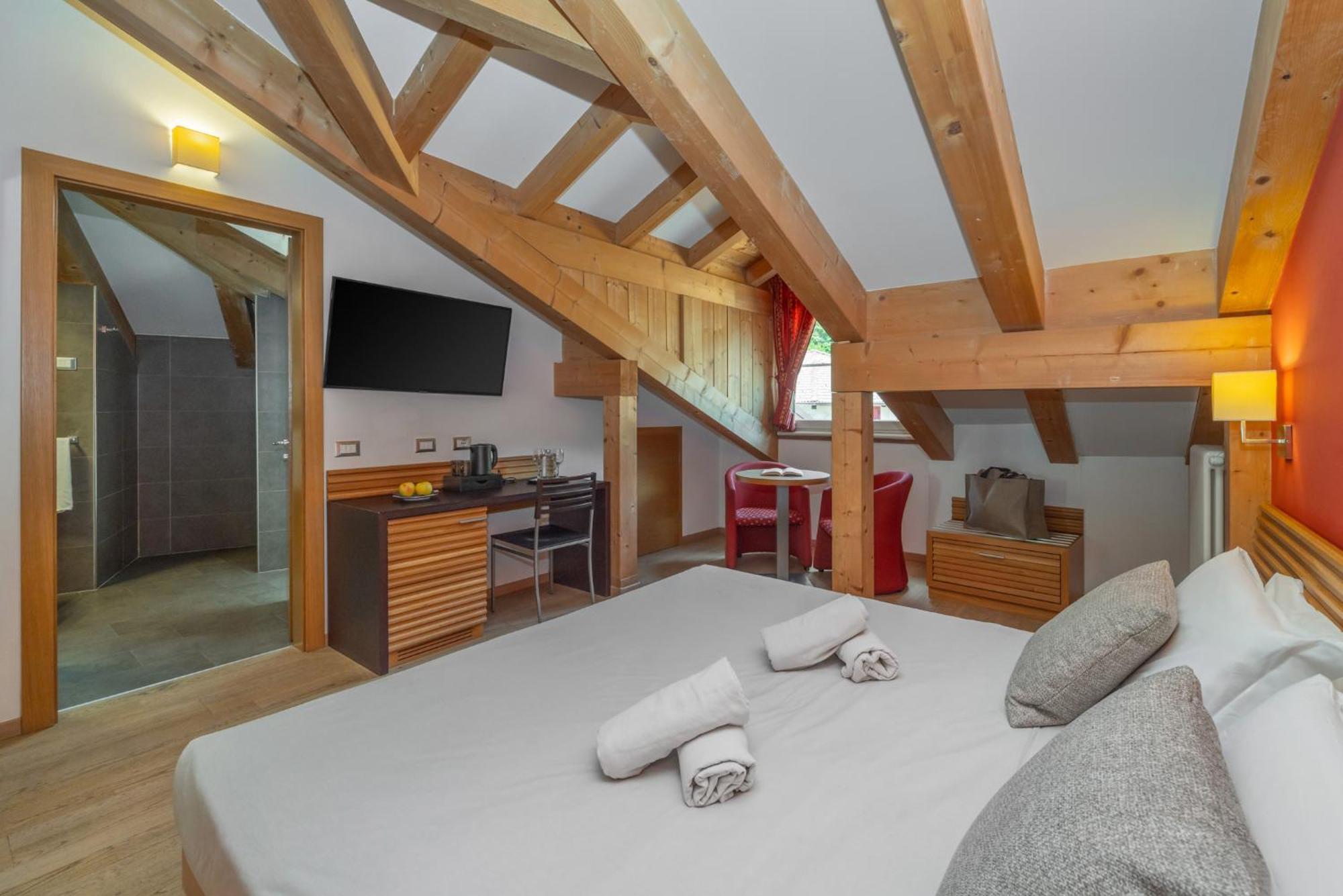 Double or Twin Room Mountain View