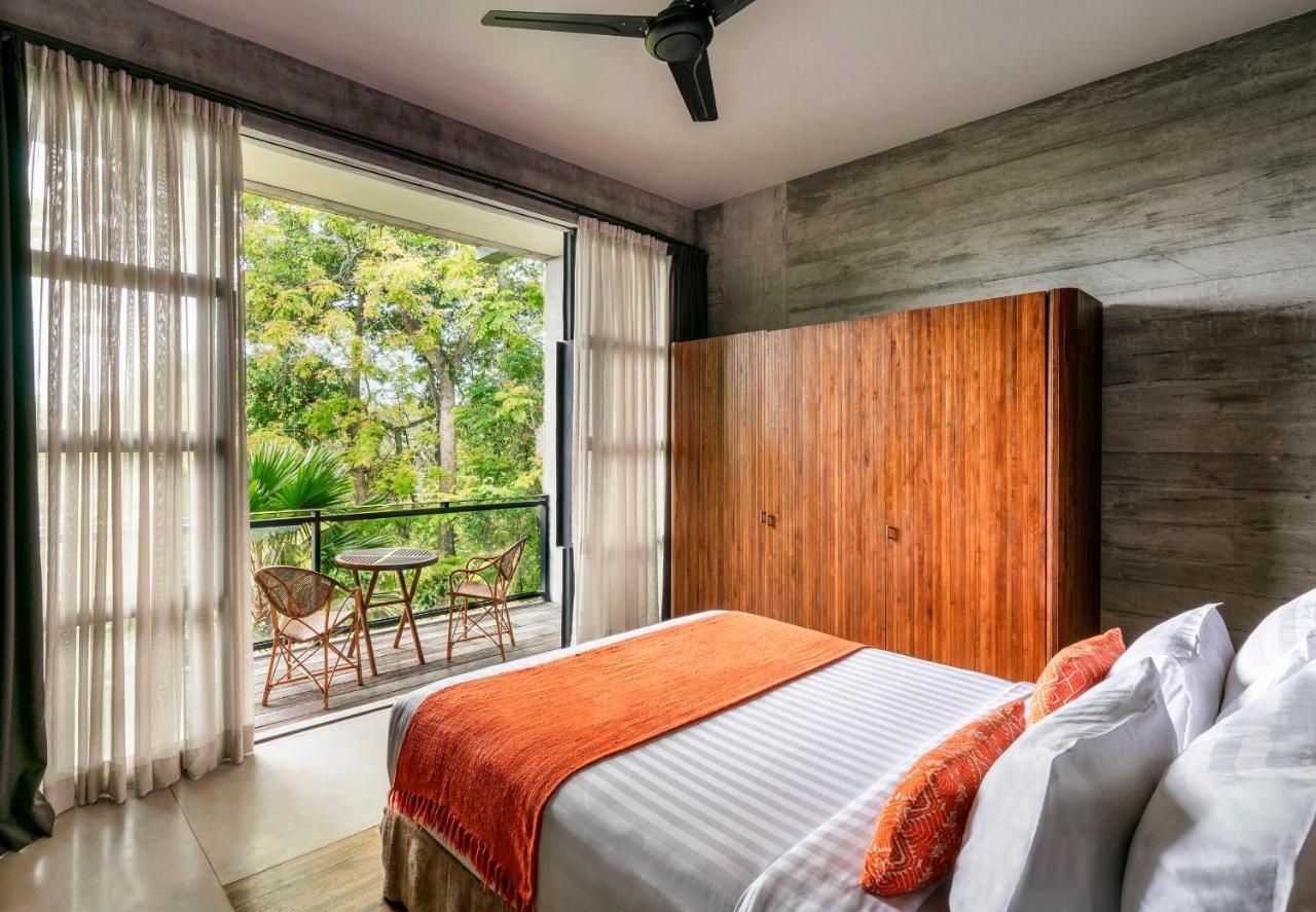 Oferta Staycation - Suite Forest