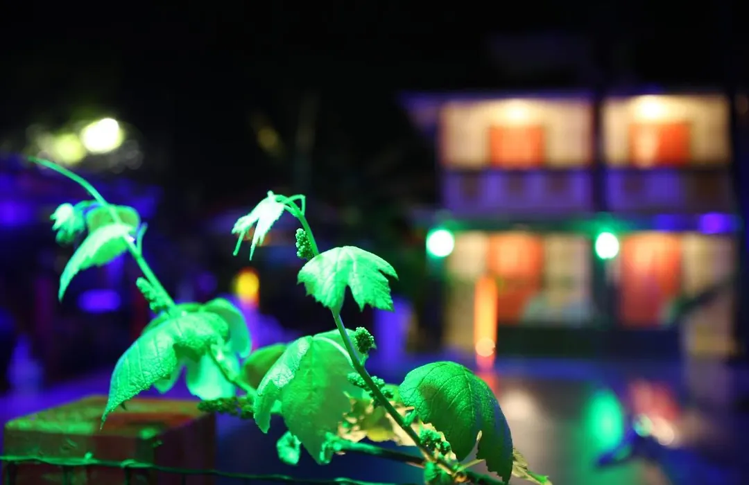 Hotel Ferrugem Eco Village-1