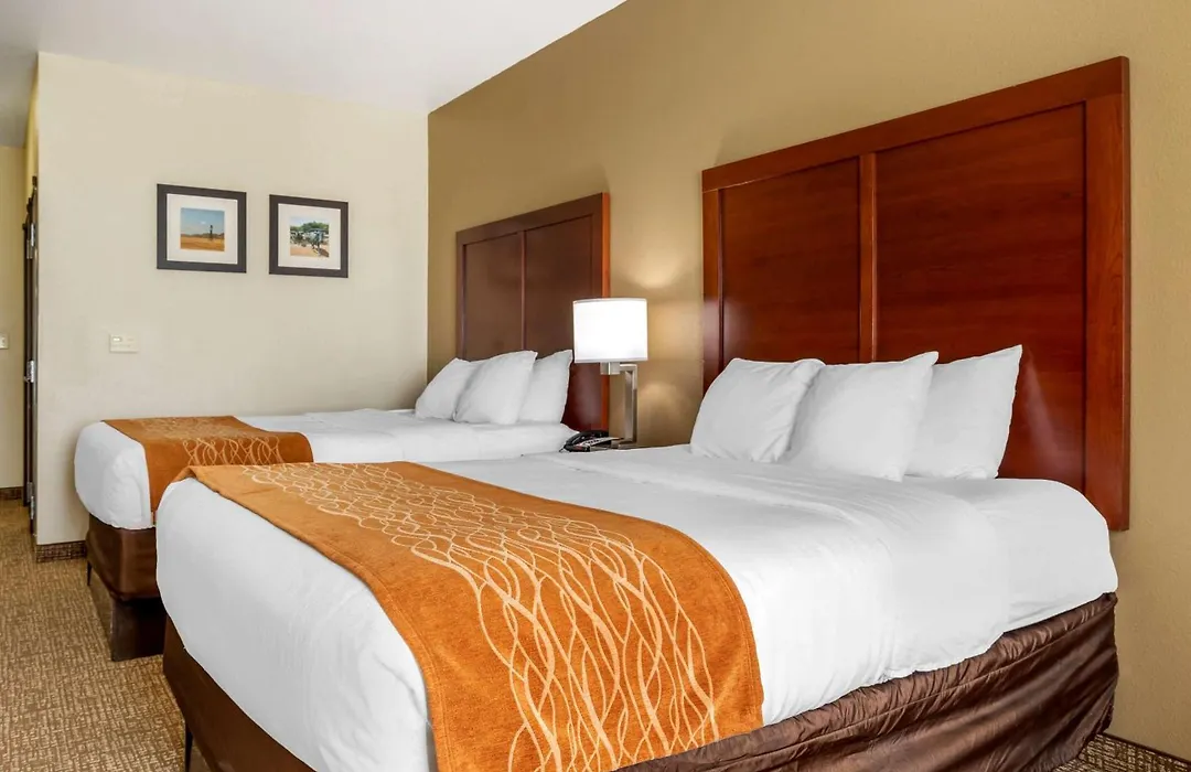 Comfort Inn Near Unt-1
