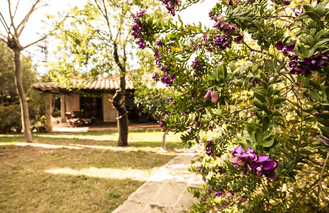 Aumallia Hotel & Spa-1