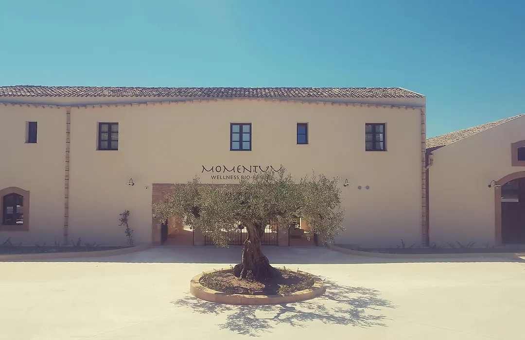 Momentum Wellness Bio Resort-1
