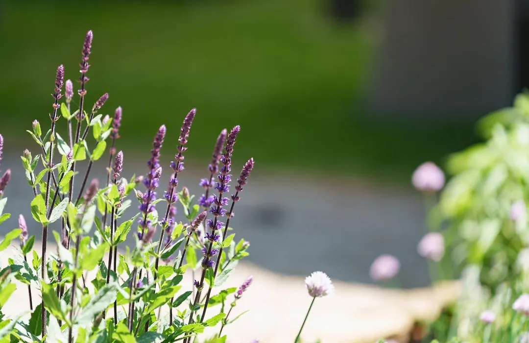 Les Jardins D'Anais-1