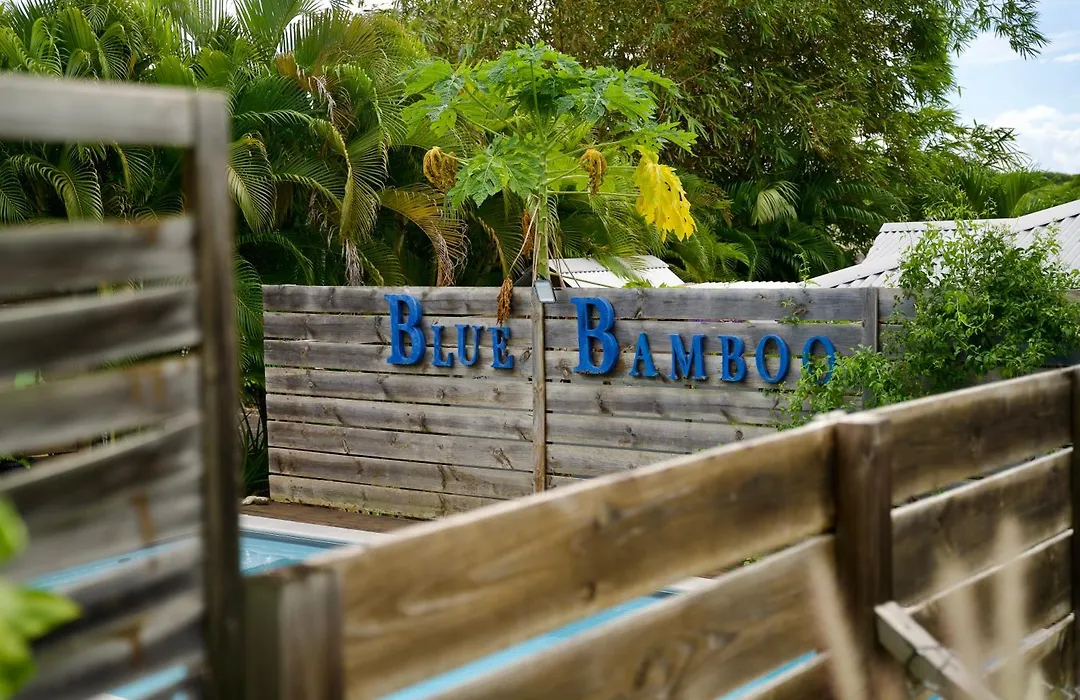 The Bluebamboo-1