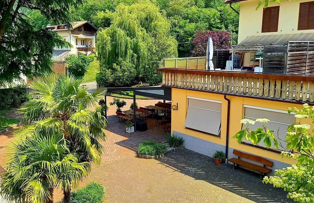 Hotel Garni Gruener Baum-1