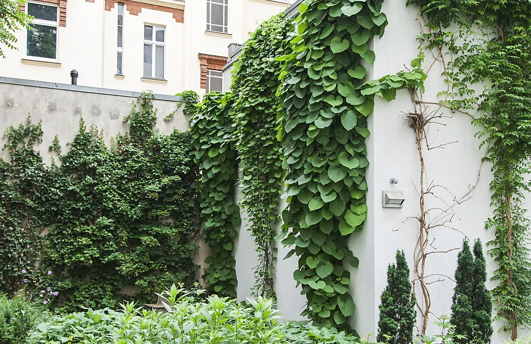 Quentin Design Hotel Berlin-1