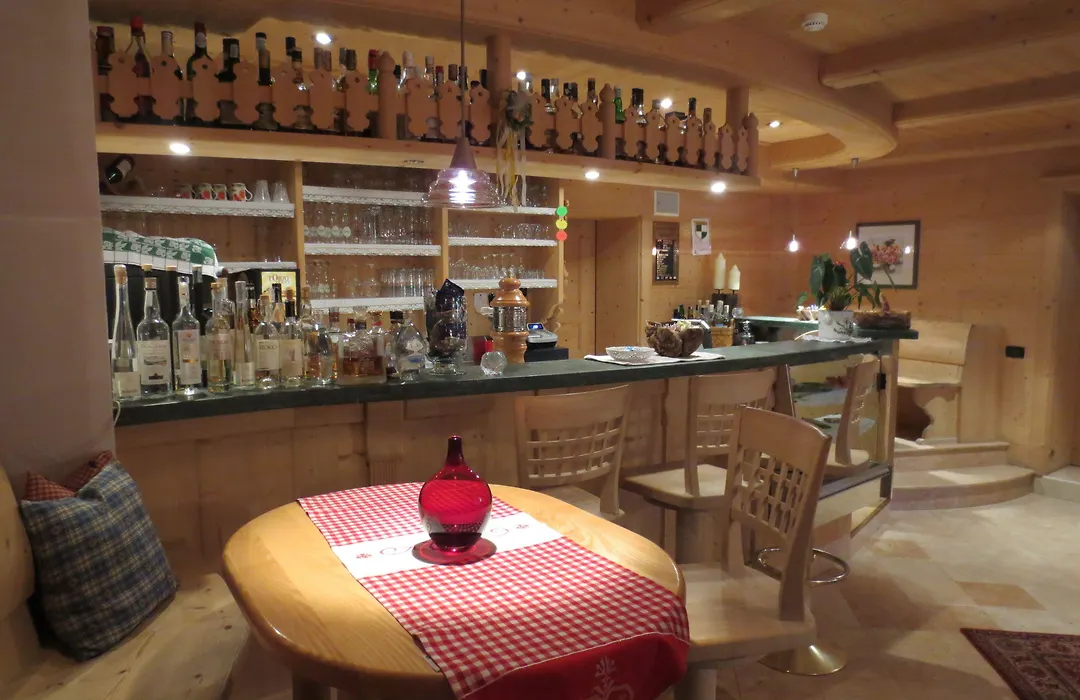 Hotel Ciasa Ai Pini-1