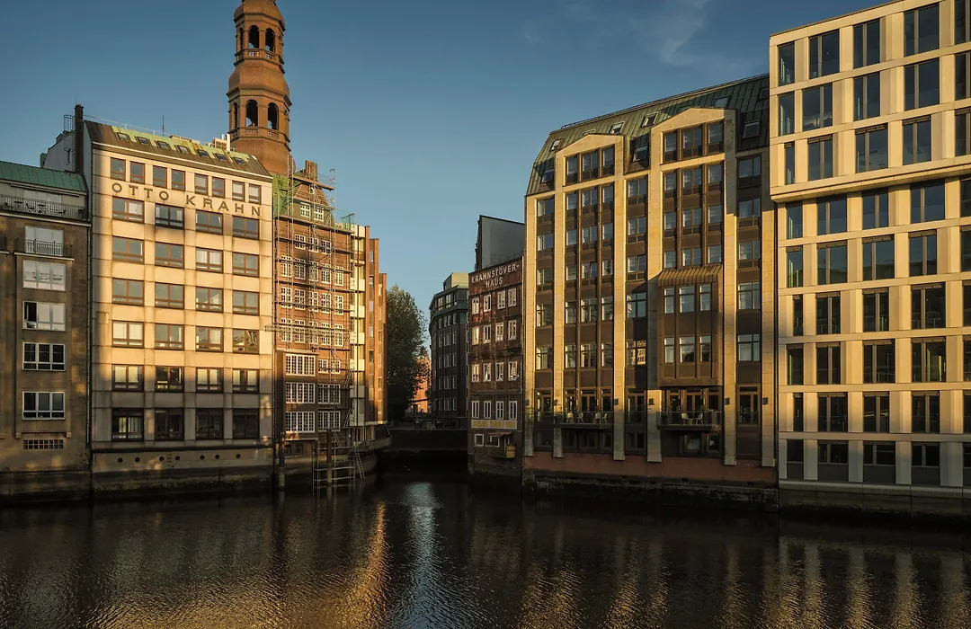 The Nikolai Hamburg - Leonardo Limited Edition-1