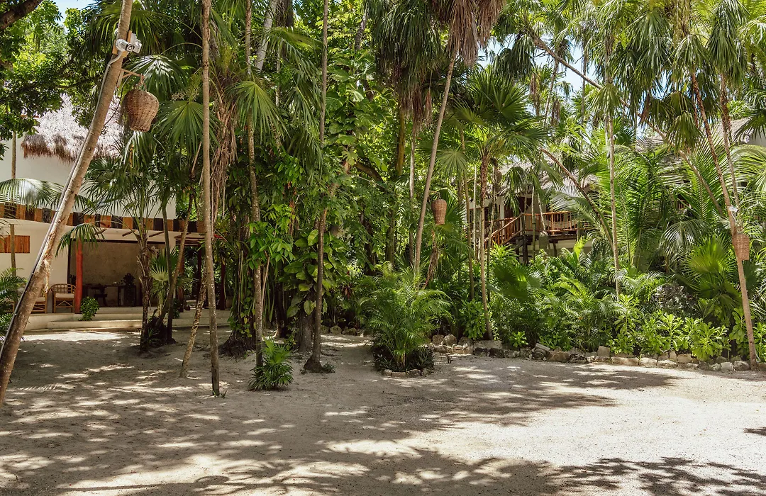 Dos Ceibas Tulum - Feel Good Hotel-1