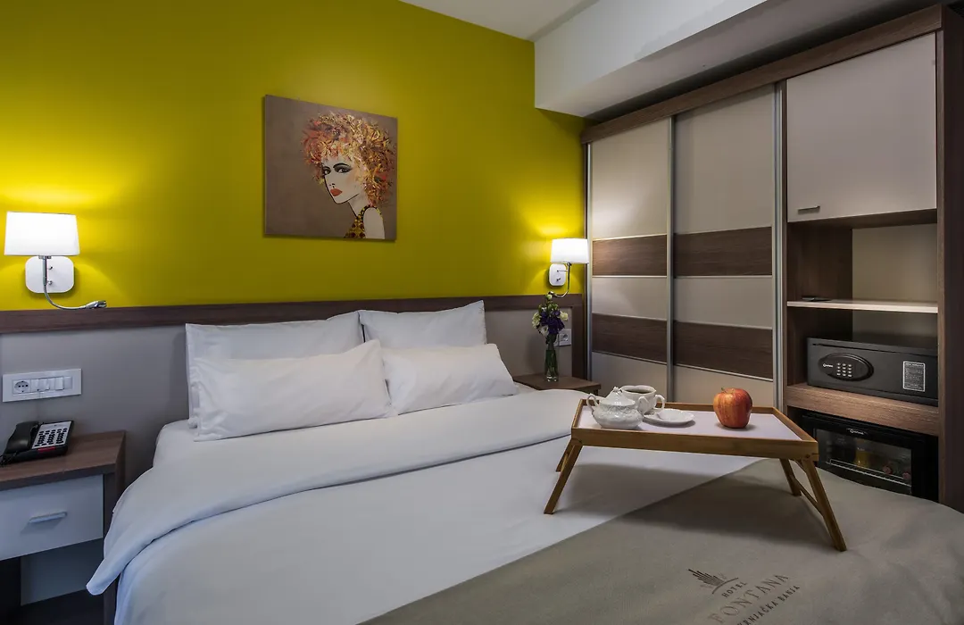 Hotel Fontana Vrnjacka Banja-1