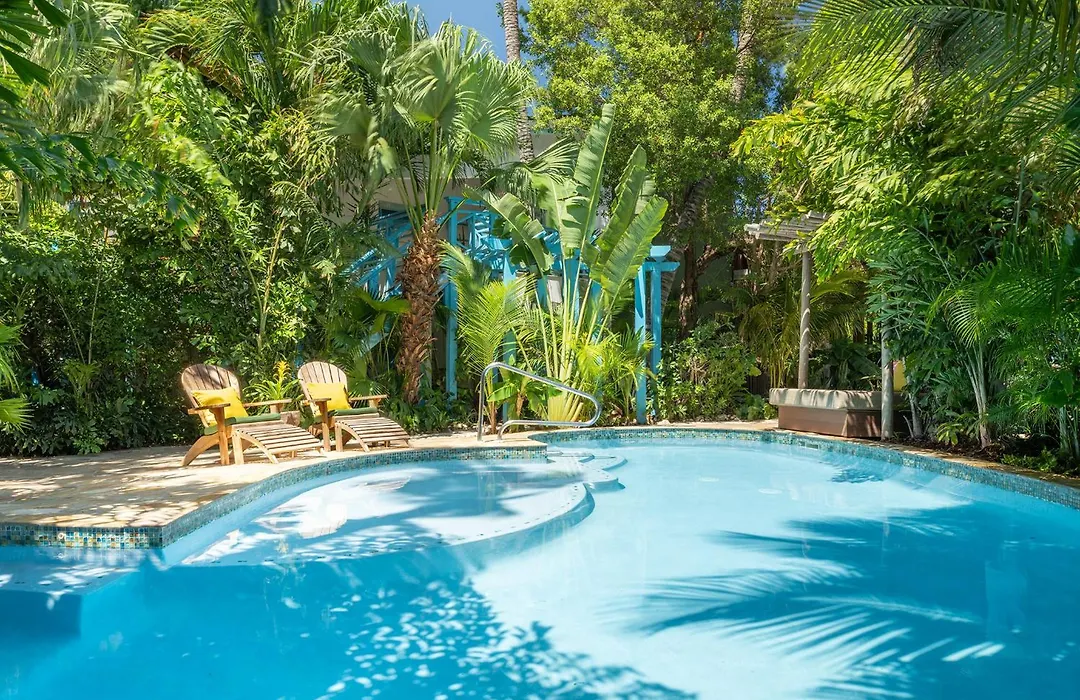 Boardwalk Boutique Hotel Aruba - Adults Only-1
