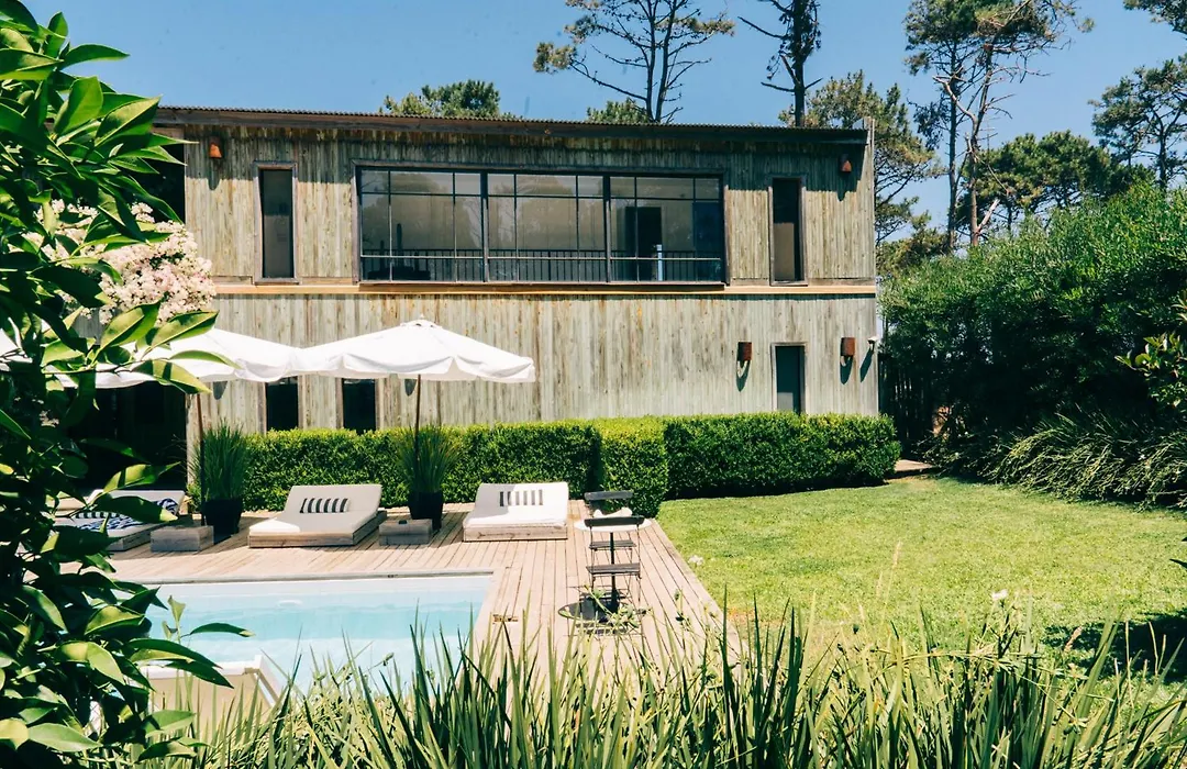 Casa Flor-1