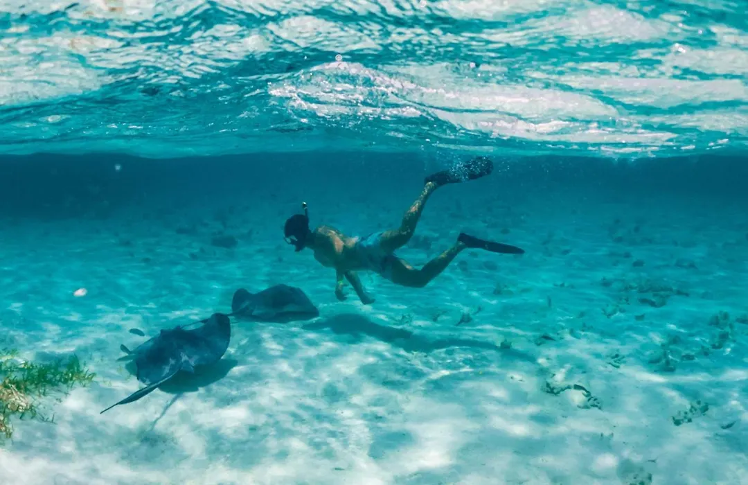 Reef Haven Belize-1