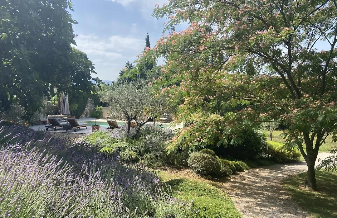 Domaine Les Martins - Gordes-1