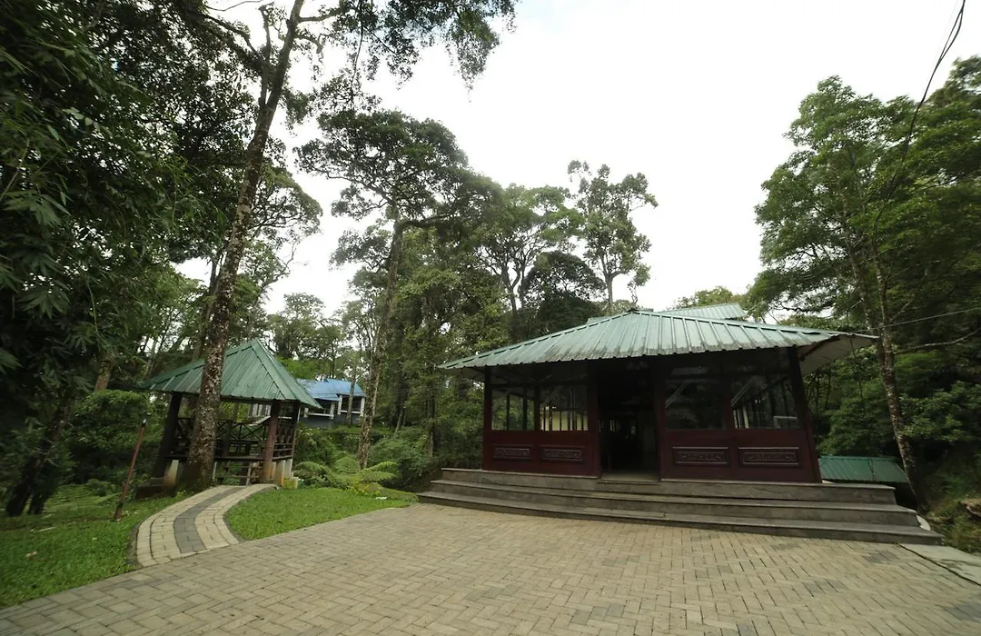 Deep Woods Resort-1
