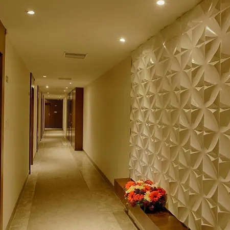 Hotel Levana, Hazratganj-2