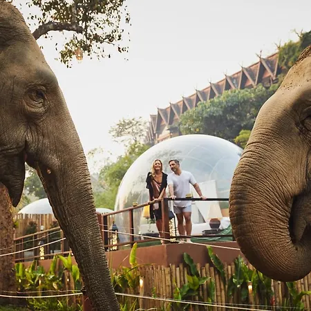 Anantara Golden Triangle Elephant Camp & Resort-2