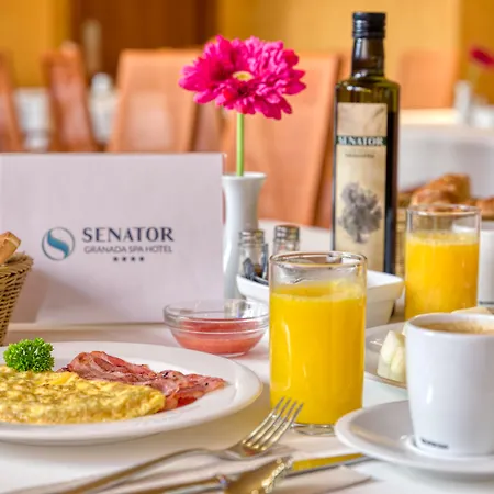 Senator Granada Spa Hotel-2