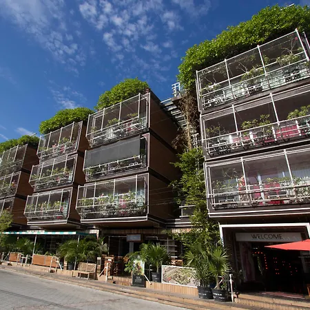 Hotel Kavia 5Th Avenida (Adults Only)-3