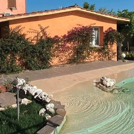 Orto Di Roma-2