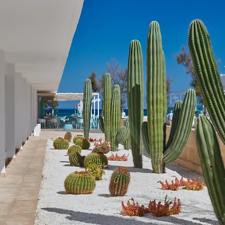 The Sea Hotel By Grupotel - Adults Only-2