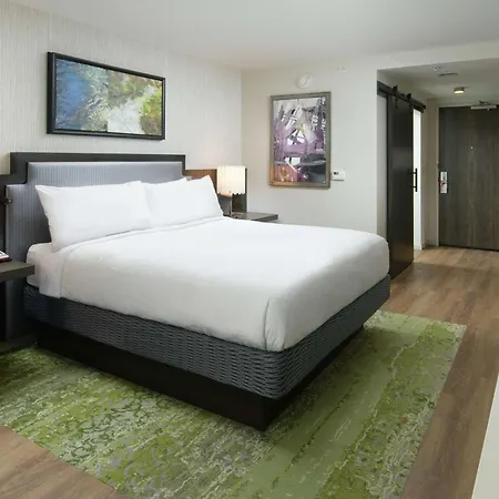 Hilton Garden Inn Memphis Downtown Beale Street-2