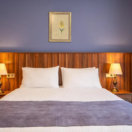 La Wisteria Boutique Hotel Istanbul-3