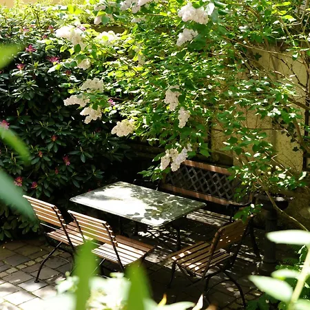 Boutique Hotel Splendid-Dollmann-2
