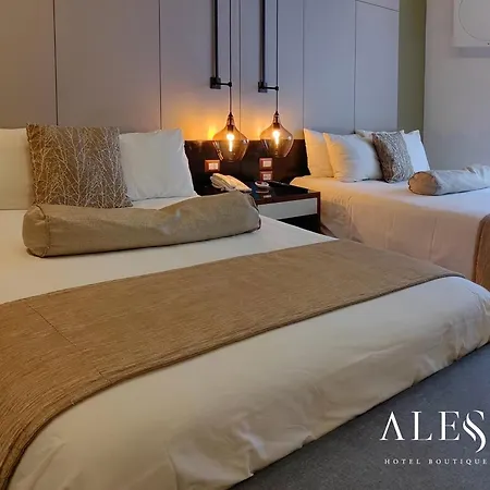 Alesia - Boutique Hotel & Spa-3