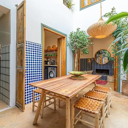 Riad Yannis-3