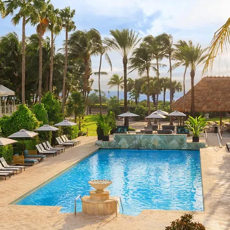 Kimpton Surfcomber Hotel By Ihg-2