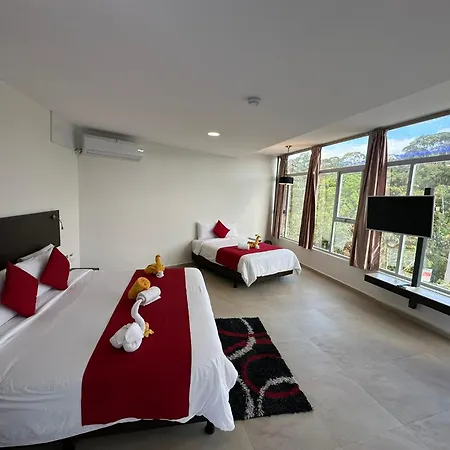 Ecopark Hosteria Puyo-3
