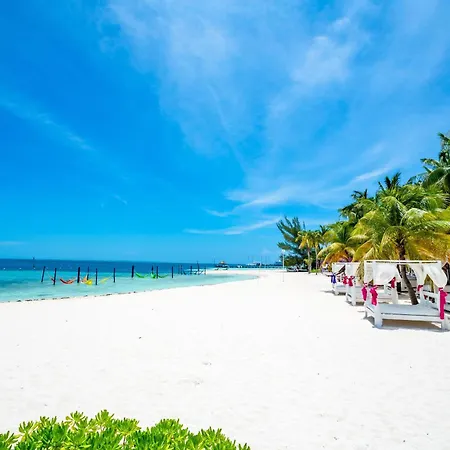 Oh! Cancun - The Urban Oasis & Beach Club (Adults Only)-3