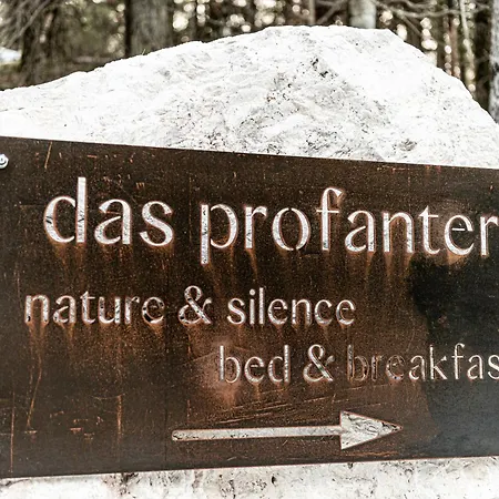 Hotel Profanter-2