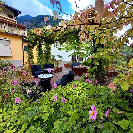 Hotel Garni Gruener Baum-3