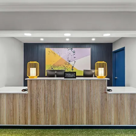 Spark By Hilton Killeen-3