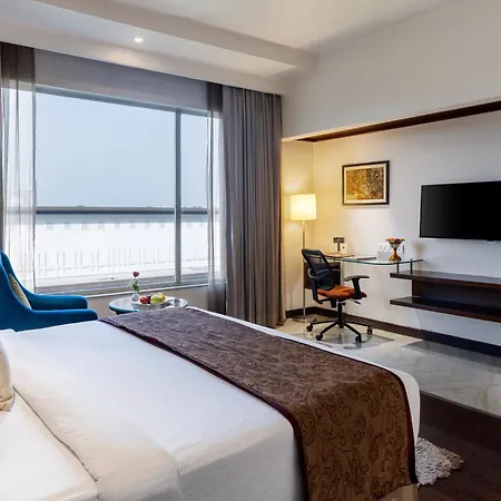 Hotel Marigold Jaipur-2