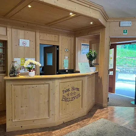 Park Hotel Bellevue-2