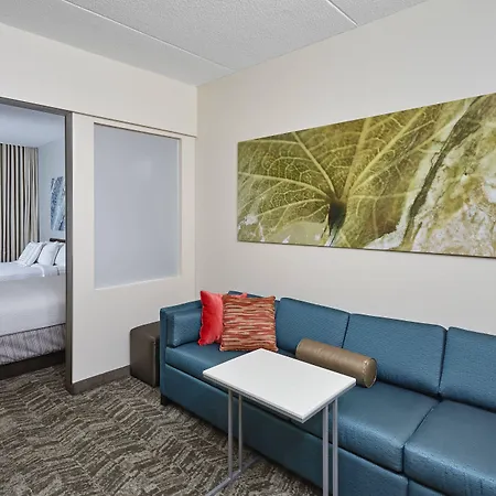 Springhill Suites By Marriott Chicago Schaumburg/Woodfield Mall-3