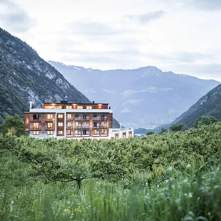 Hotel Burgaunerhof-2