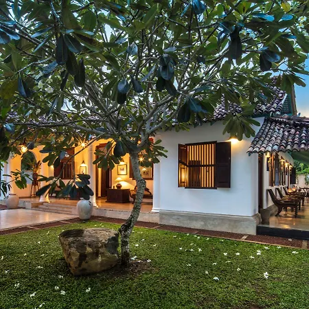 Green Casa-2