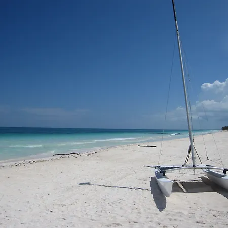 Dos Ceibas Tulum - Feel Good Hotel-2