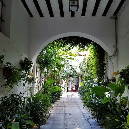 Albariza Hotel Boutique-3